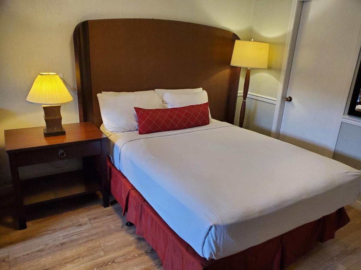 Queen Room,1002067446:JPEG